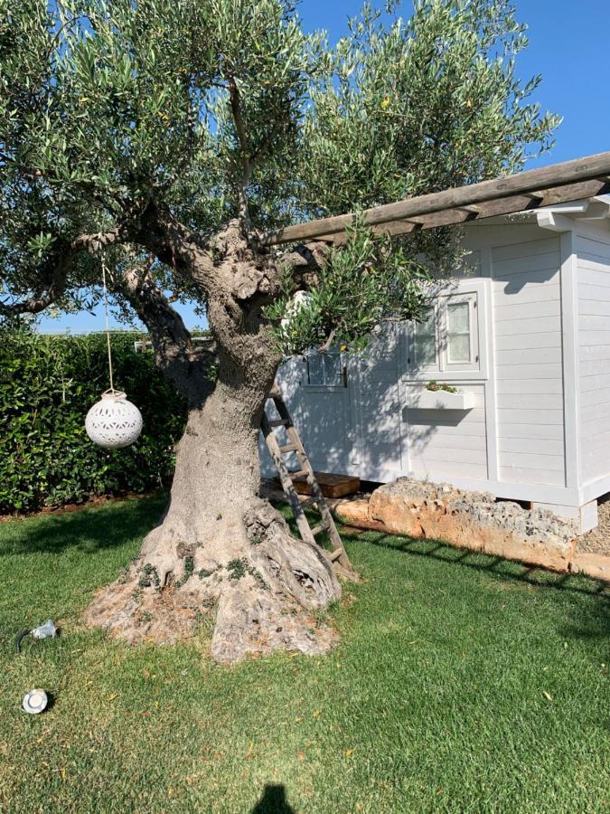 B&B Villa Grassi Alberobello Exterior photo